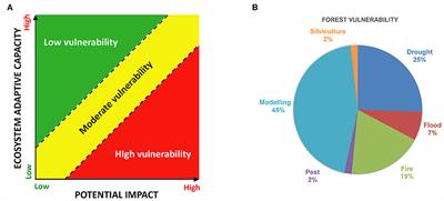 Editorial: Multiscale Approach to Assess Forest Vulnerability